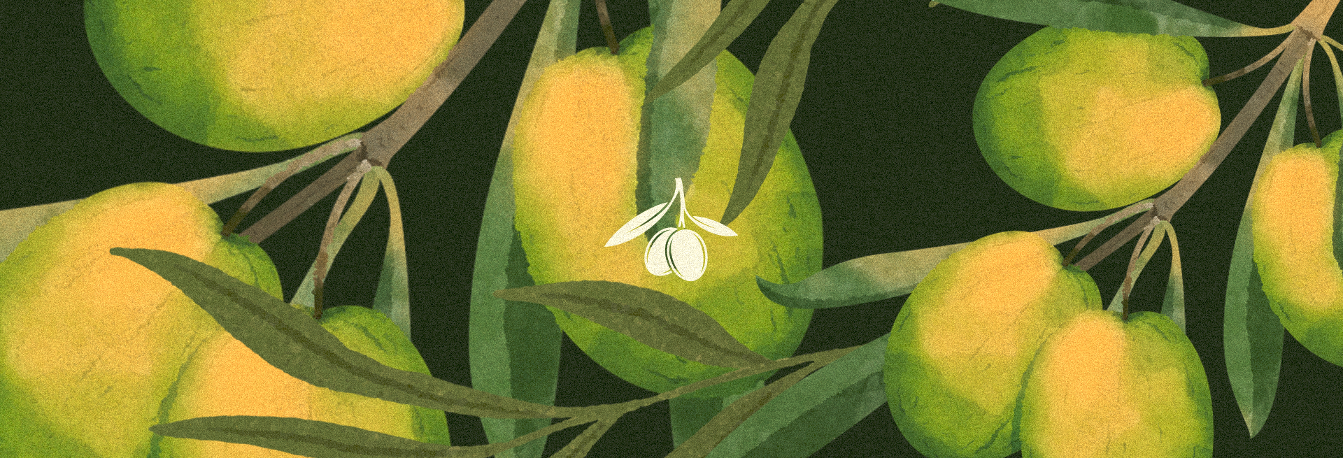 Azeitona Verde | Reposicionamento & Identidade de Marca